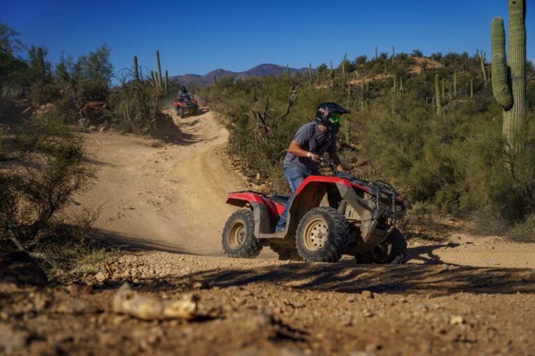 From Phoenix: Sonoran Desert Guided ATV Training