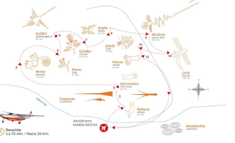 From Pisco or San Martin Port: Nazca Lines Flight