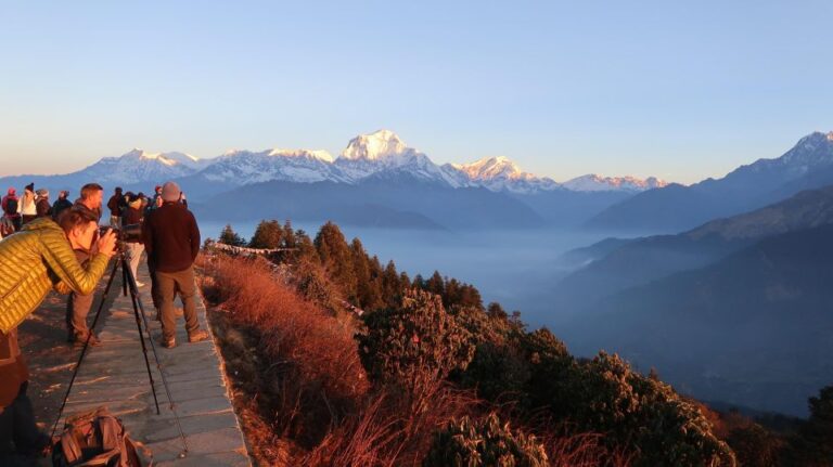 From Pokhara: 2 Night 3 Days Poon Hill Trek
