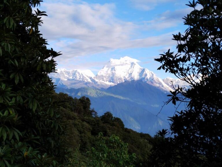 From Pokhara: 3 Night 4 Days Ghandruk Poon Hill Trek