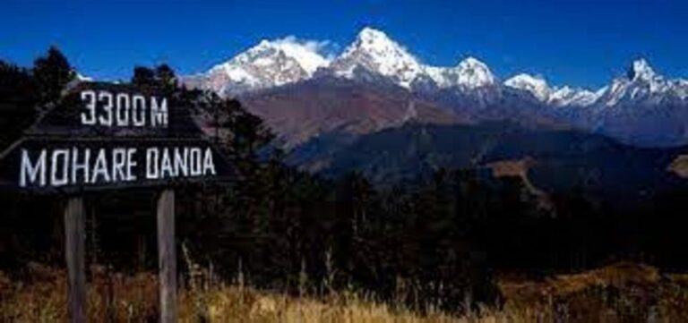From Pokhara: 3 Night 4 Days Mohare Danda & Poon Hill Trek