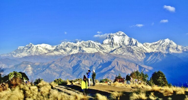 From Pokhara: 5-Day Private PoonHill Trek Tour
