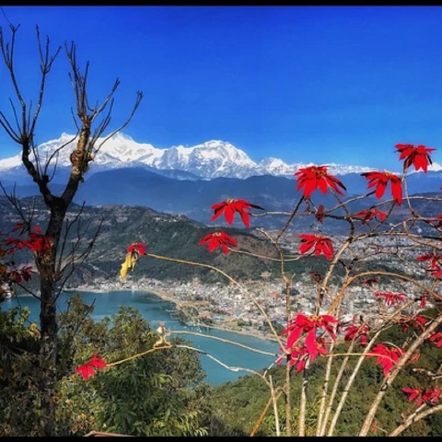 From Pokhara: Guided Day Jungle Hiking Tour With Boat Ride