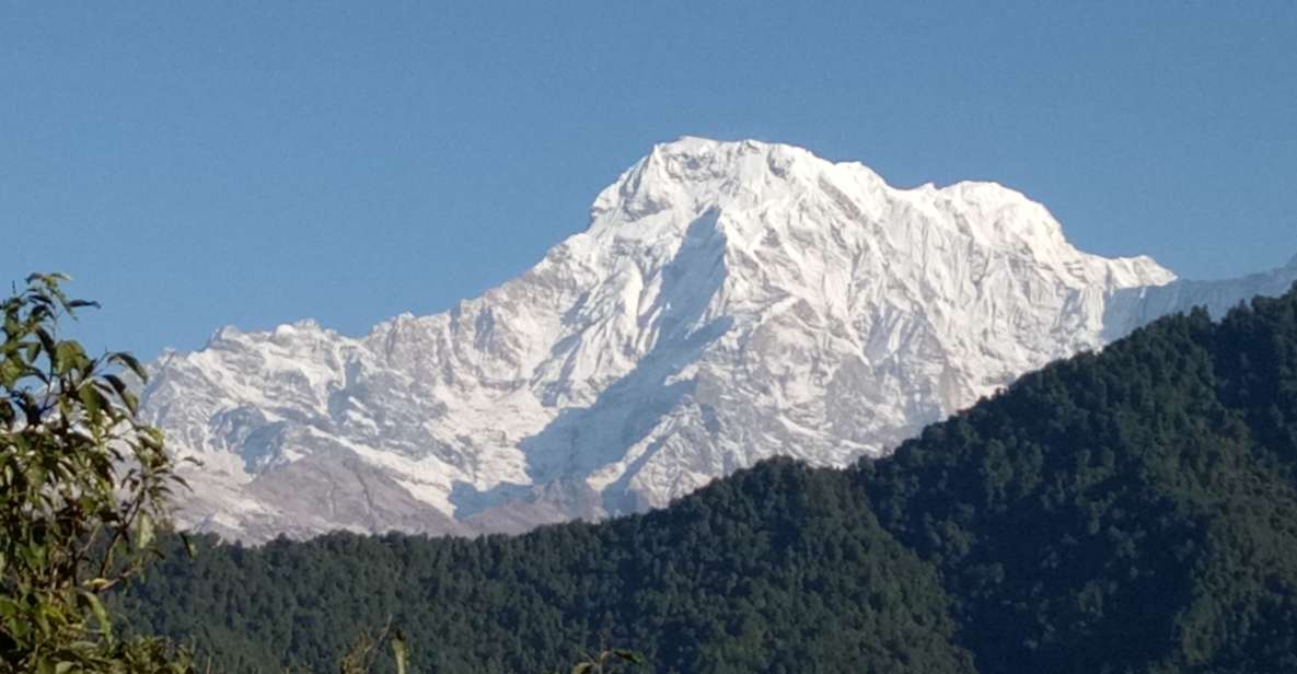 From Pokhara: Short Trek 1 Night 2 Days Dhampus Trek