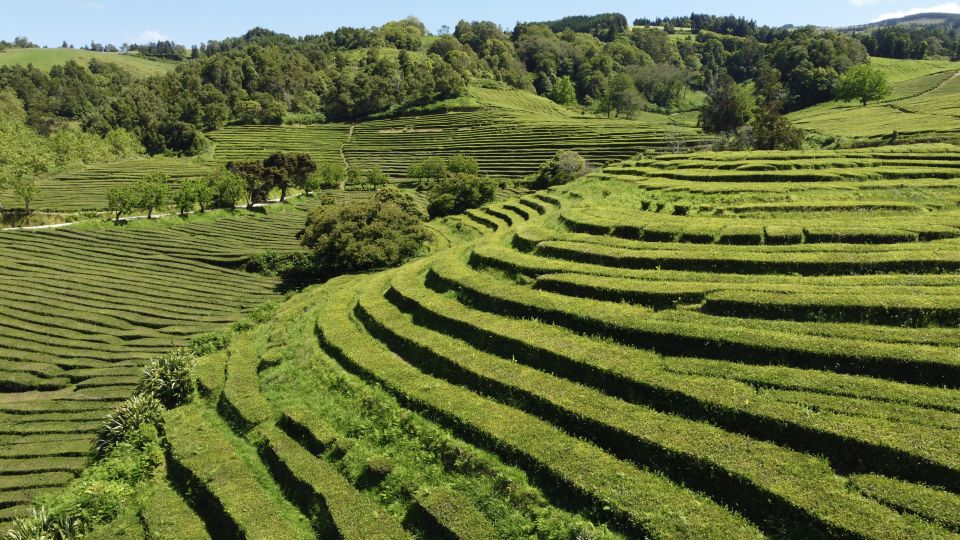 From Ponta Delgada: Furnas Lake Shore 4×4 Guided Day Trip