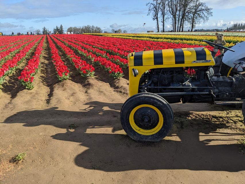 1 from portland wooden shoe tulip farm festival entry ticket From Portland: Wooden Shoe Tulip Farm Festival Entry Ticket