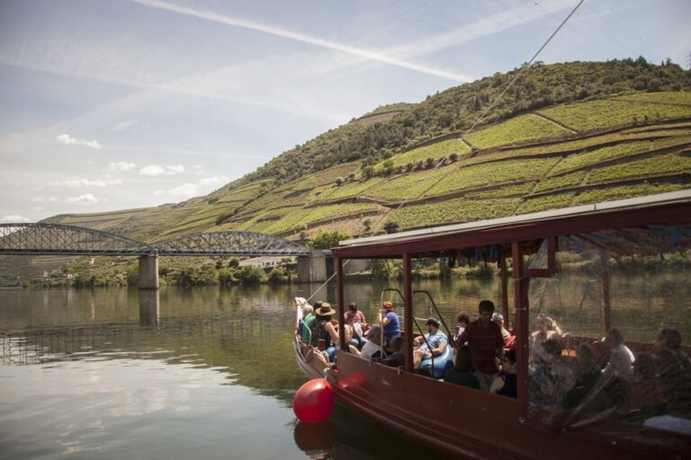 From Porto: a Day in the Douro Valley With Wine Tastings