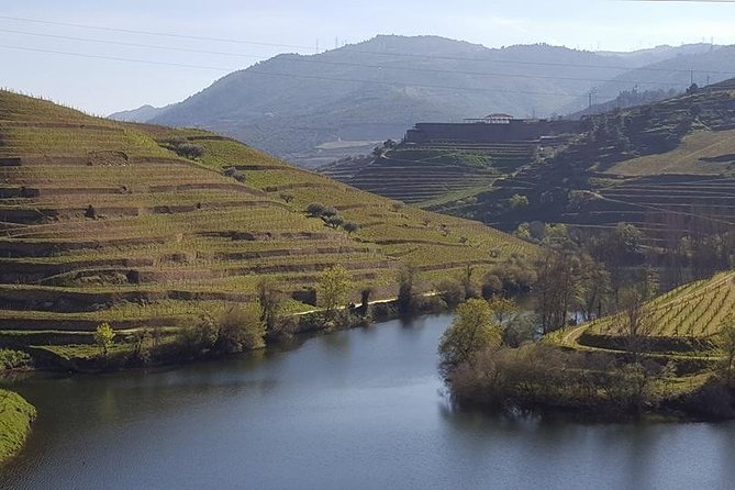 From Porto Private Tour Douro Valley Two Wineries, Lunch and Boat.
