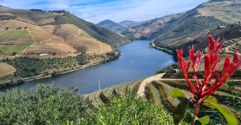 From Porto: Private Tour With 2 Wineries and Boat Ride