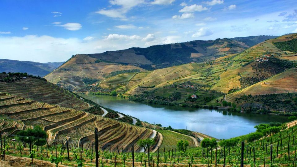 1 from porto regua and douro valley scenic cruise From Porto: Régua and Douro Valley Scenic Cruise