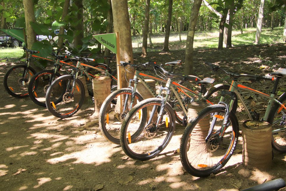 1 from puerto vallarta jungle mountain bike tour From Puerto Vallarta: Jungle Mountain Bike Tour