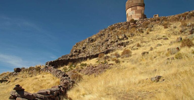 From Puno: 4h Tour to Sillustani