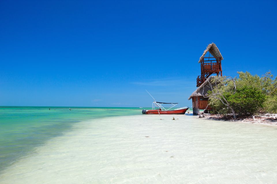 1 from riviera maya holbox full day tour with lunch From Riviera Maya: Holbox Full-Day Tour With Lunch