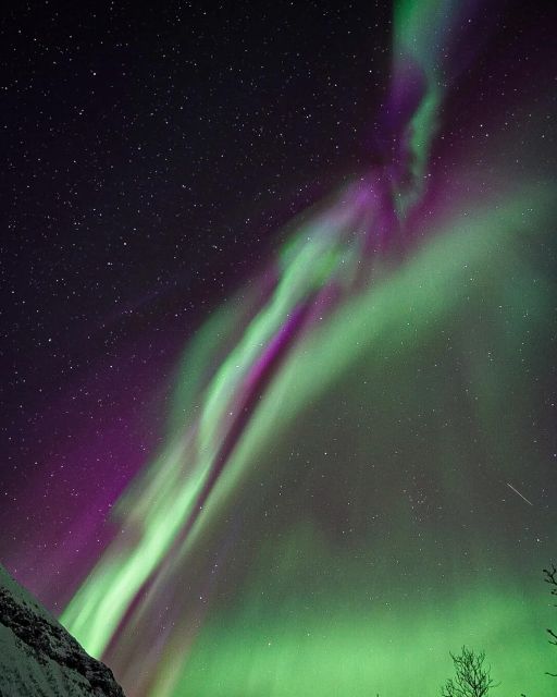 1 from rovaniemi aurora dreamscape tour in the wild From Rovaniemi: Aurora Dreamscape Tour in the Wild