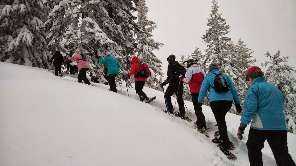 1 from rovaniemi korouoma frozen waterfalls small group hike From Rovaniemi: Korouoma Frozen Waterfalls Small-Group Hike