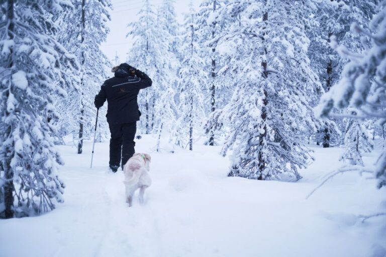 From Rovaniemi: Lapland Snowshoeing Adventure