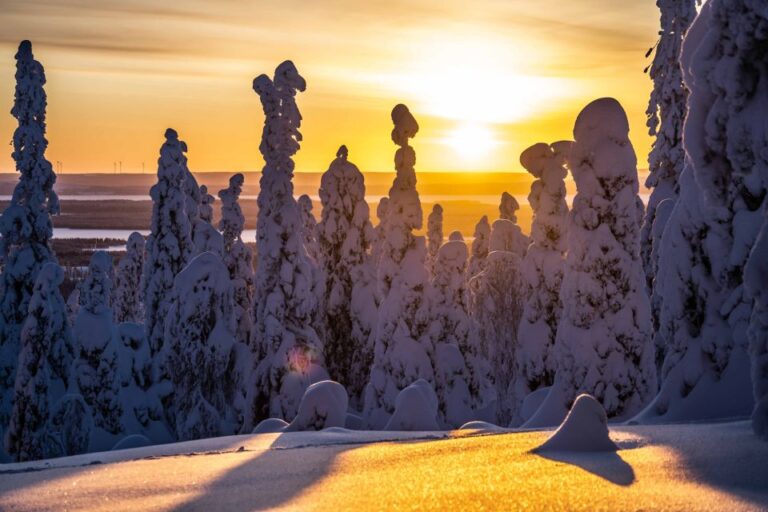 From Rovaniemi: Riisitunturi Full-Day Wilderness Adventure