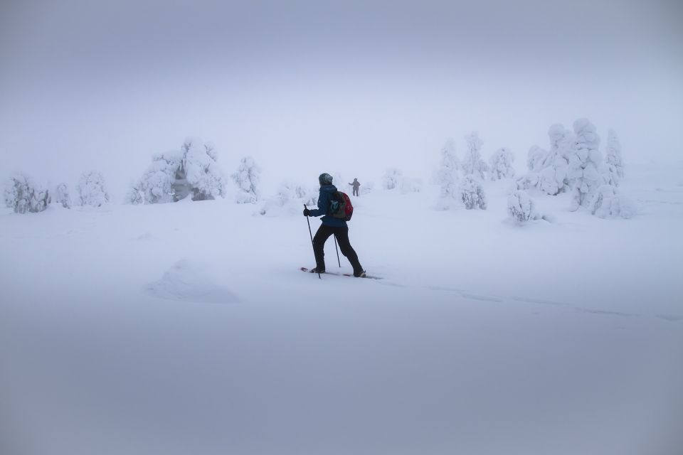 1 from rovaniemi winter wonderland hike with a hot drink From Rovaniemi: Winter Wonderland Hike With a Hot Drink