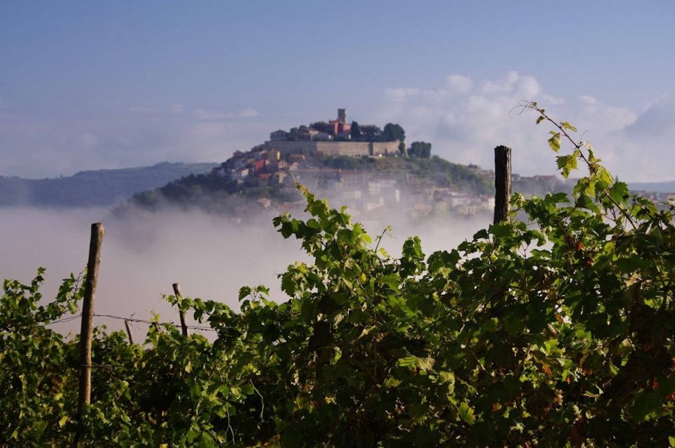 1 from rovinj istria in 1 day tour with truffle tasting From Rovinj: Istria in 1 Day Tour With Truffle Tasting