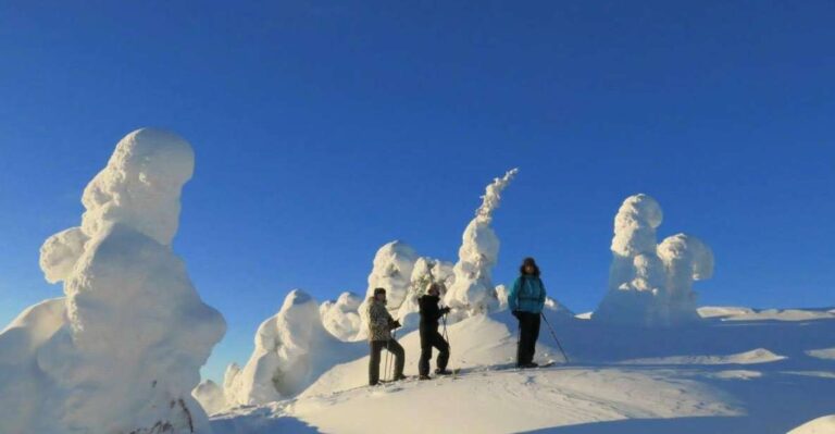 From Ruka: Snowshoeing in Riisitunturi National Park