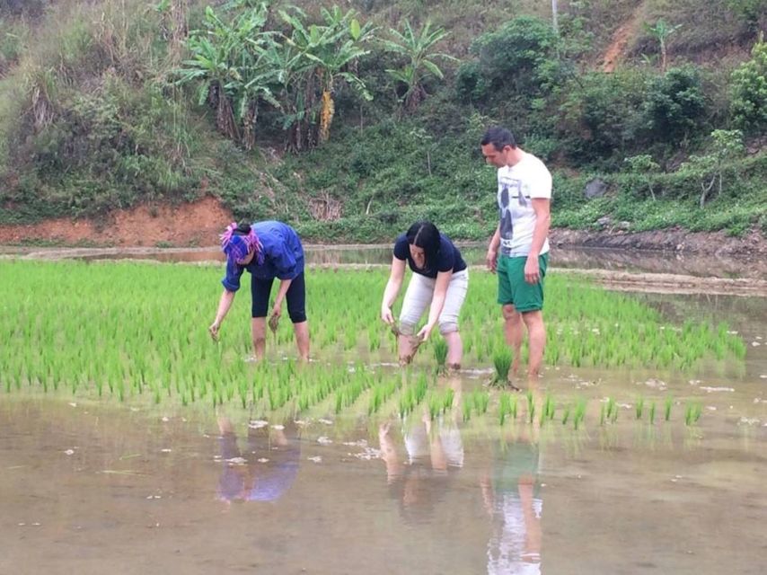 1 from sa pa 5 hour muong hoa valley trek and ethnic tribes From Sa Pa: 5-Hour Muong Hoa Valley Trek and Ethnic Tribes