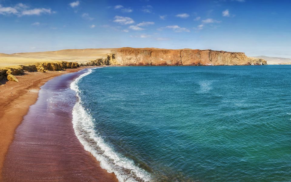 1 from san martin ballestas islands and paracas reserve From San Martin: Ballestas Islands and Paracas Reserve