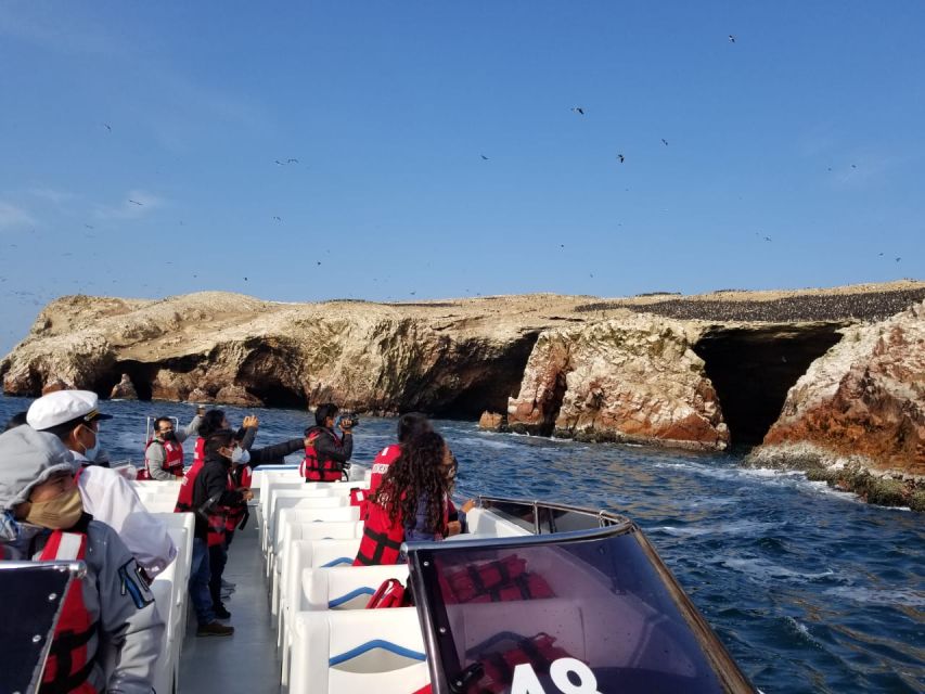 1 from san martin port 2 hour ballestas island From San Martin Port: 2-Hour Ballestas Island