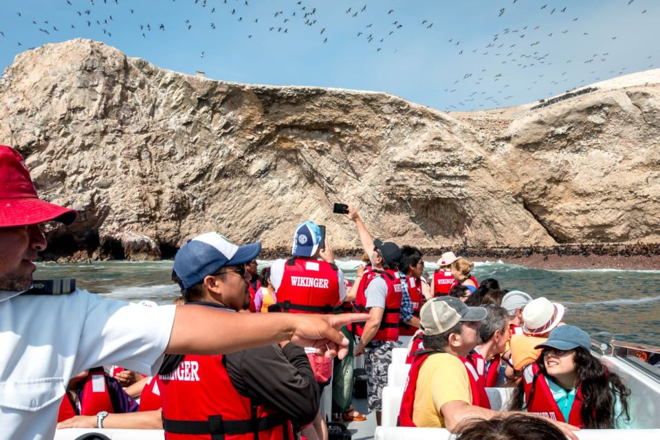 1 from san martin port ballestas island paracas reserve From San Martin Port: Ballestas Island & Paracas Reserve