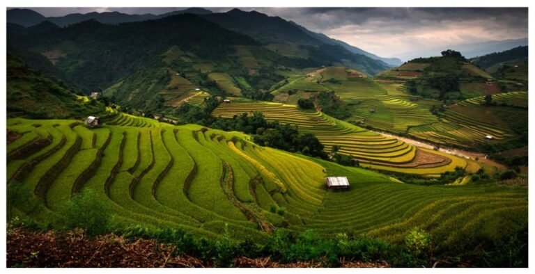 From Sapa: Terrace Fields and Local Villages Trek With Lunch