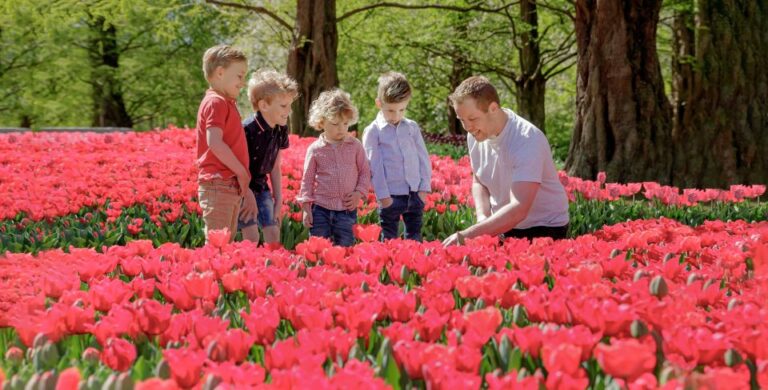 From Schiphol Airport: Keukenhof Entry and Public Bus Ticket