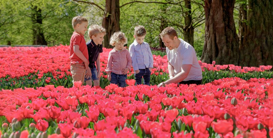 1 from schiphol airport keukenhof entry and public bus ticket From Schiphol Airport: Keukenhof Entry and Public Bus Ticket