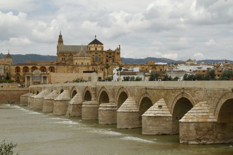 From Seville: Full-Day Cordoba Private Tour