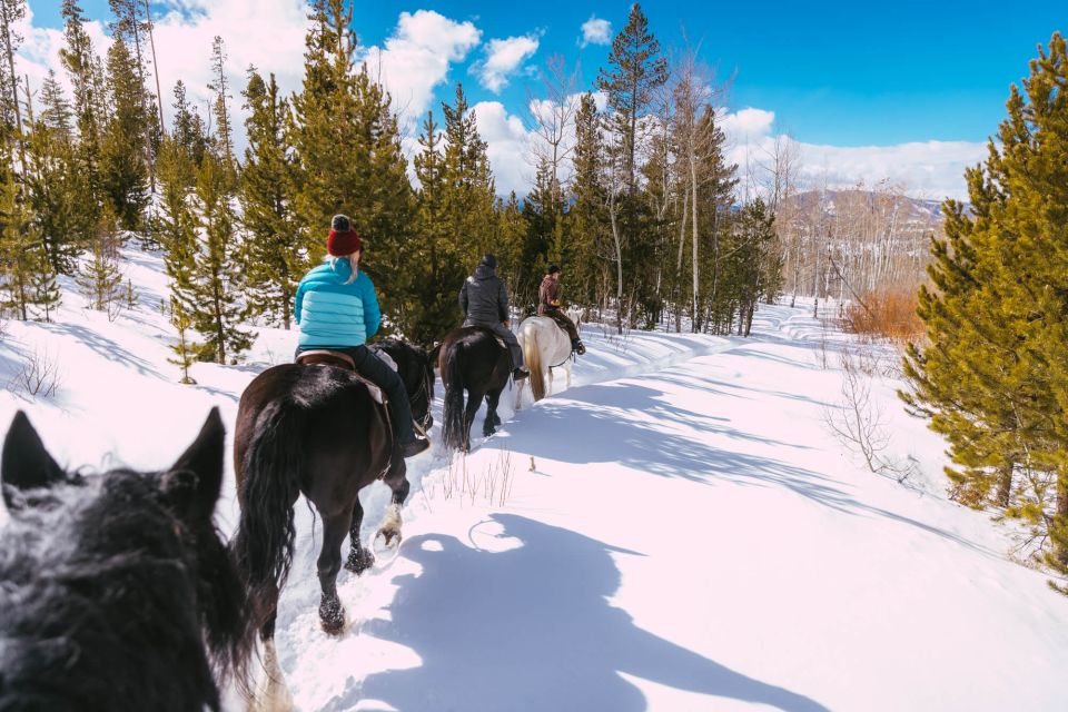 1 from sirkka guided wilderness horse riding From Sirkka: Guided Wilderness Horse Riding Experience