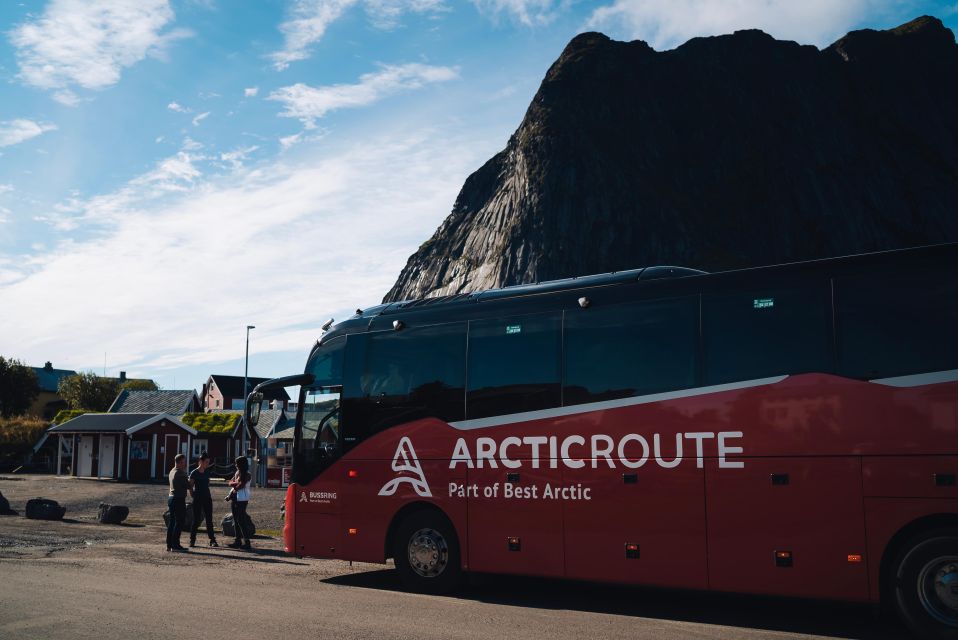 From Svolvær: Best of Lofoten Tour in One Day - Special Stops and Features