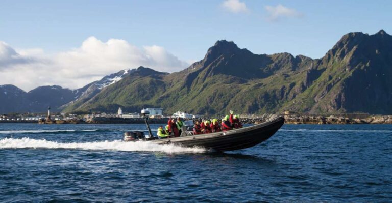 From Svolvær: RIB Sea Eagle Safari Trollfjord Cruise