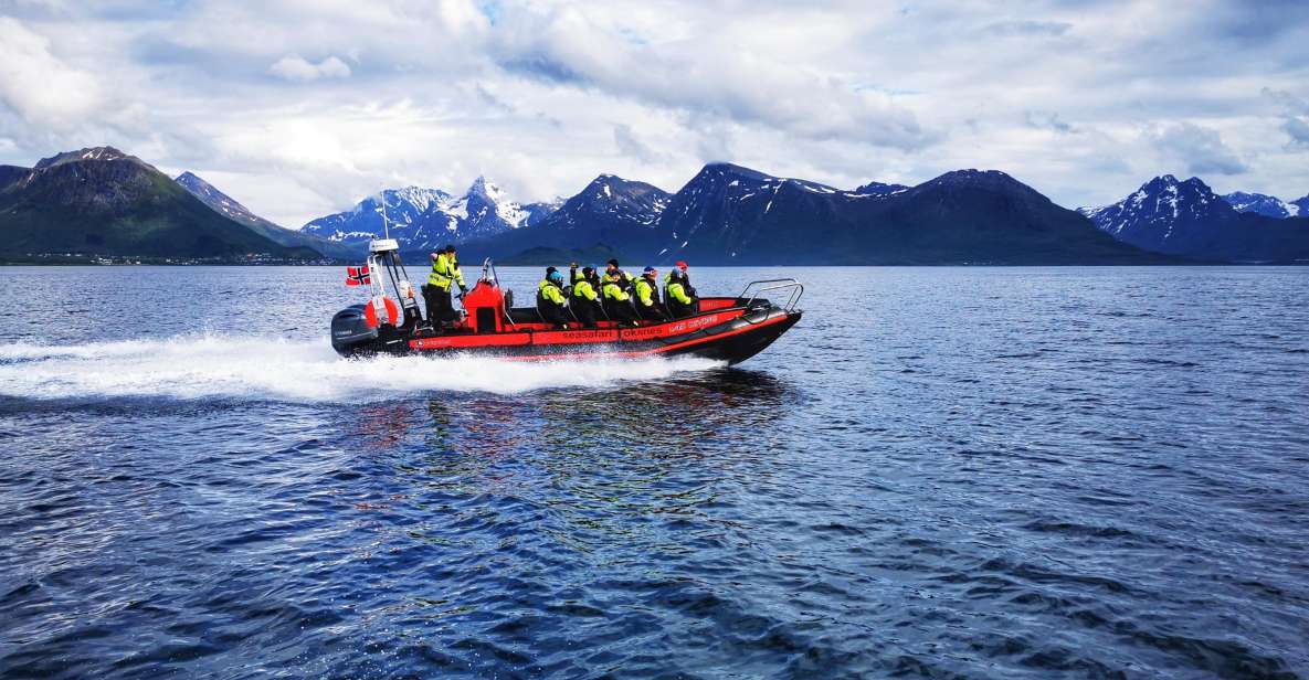 1 from svolvaer tour by rib boat and hurtigruten From Svolvær: Tour by RIB Boat and Hurtigruten