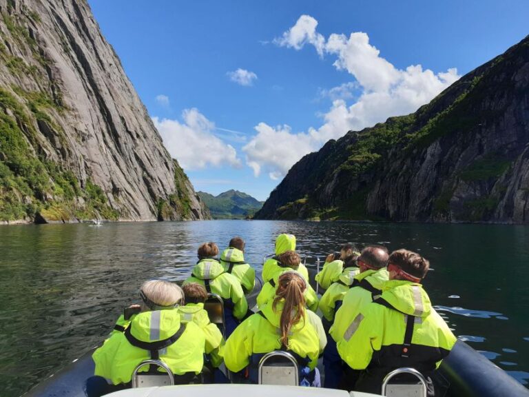From Svolvaer: Trollfjorden Wildlife RIB Cruise