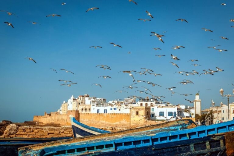 From Taghazout: Medina of Essaouira Guided Day Trip