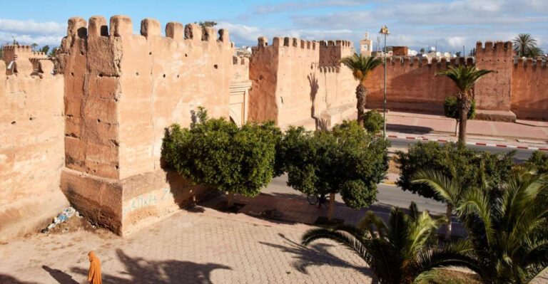 From Taghazout: Taroudant and Tiout Oasis Guided Tour
