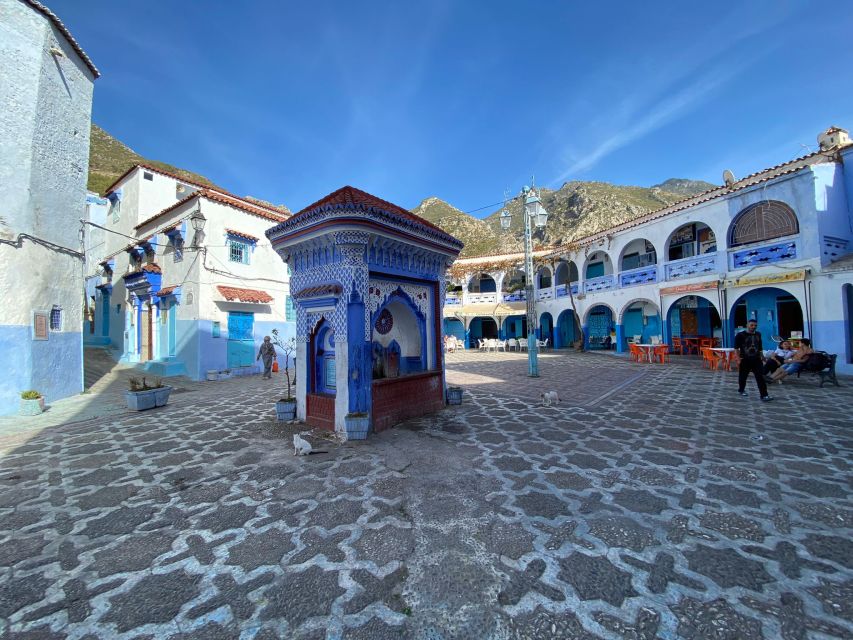From Tangier: Special Day Trip to Chefchaouen and Tetouan - Tour Highlights