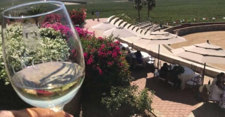 From Tijuana: Valle De Guadalupe Private Winery Tour