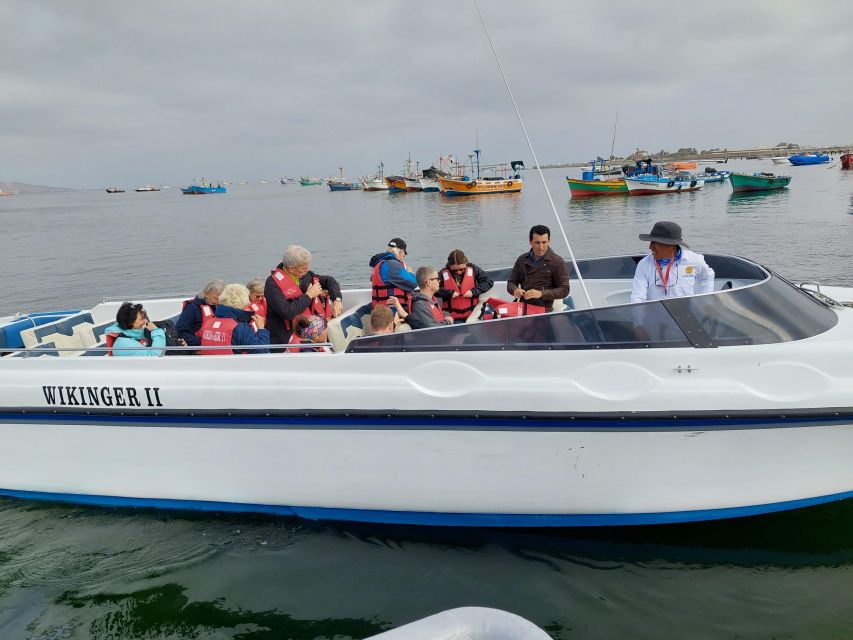 From TPP Paracas: Islands Tours & Paracas Natural Reserve - Activity Details