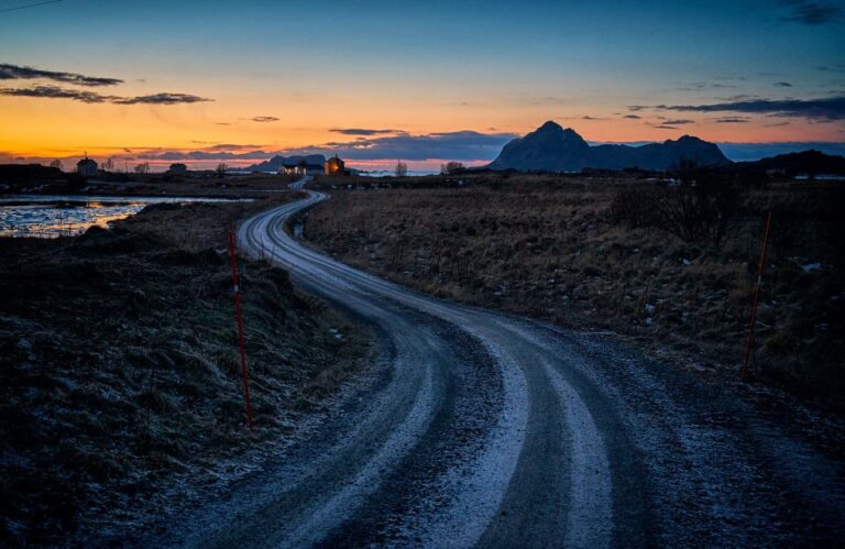 From Tromsø: Arctic Wildlife & Fjord Sightseeing Tour by Car