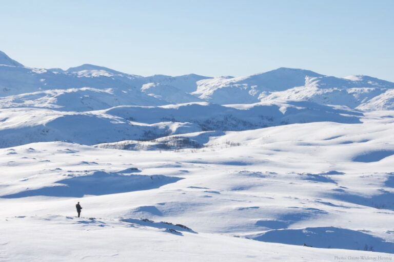 From Tromsø: Guided Snowshoe Hike With Cafe Visit