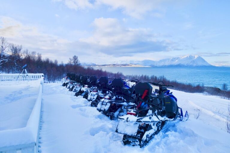 From Tromsø: Lyngen Alps Guided Snowmobile Tour With Lunch