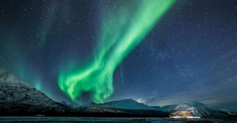 From Tromsø: Overnight Northern Lights & Whale Watching Tour