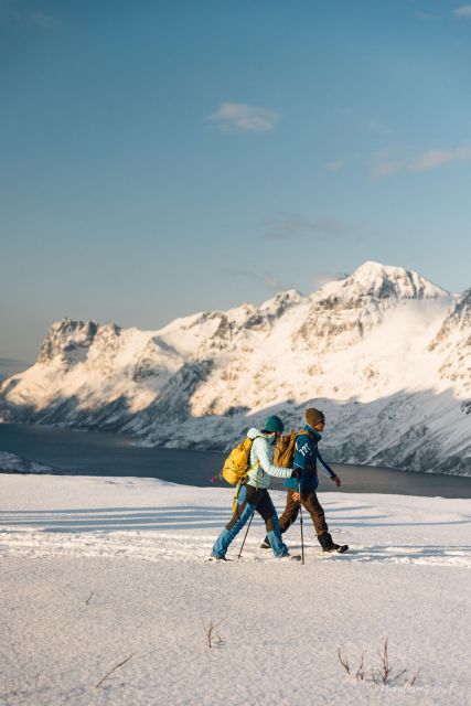 From Tromso: Small-group Snowshoeing Tour