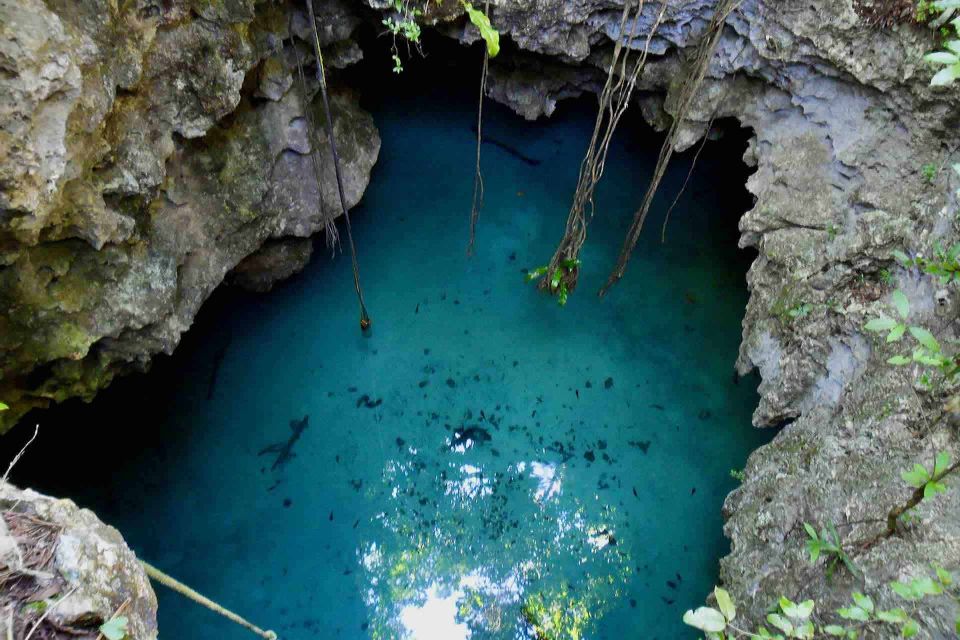 1 from tulum temazcal cenote private From Tulum: Temazcal & Cenote Private Experience