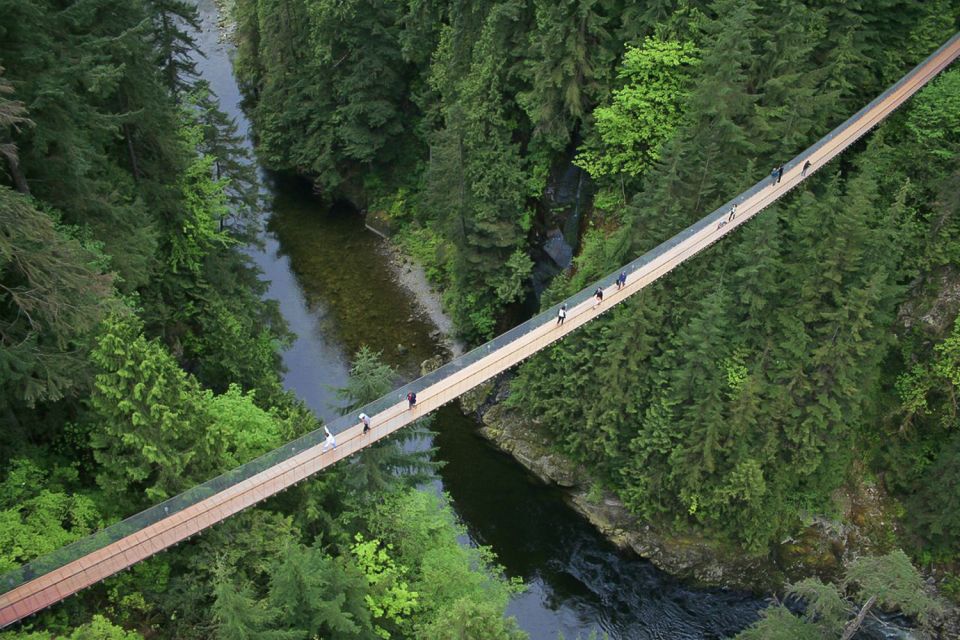 1 from vancouver capilano suspension bridge grouse mountain From Vancouver: Capilano Suspension Bridge & Grouse Mountain