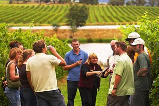 From Victoria to Cowichan Wine 6-Hour Guided Tour - Cancellation Policy